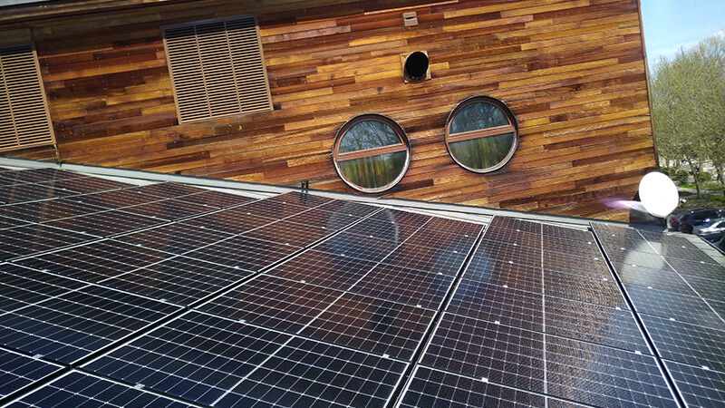 Nepelem referencia 11