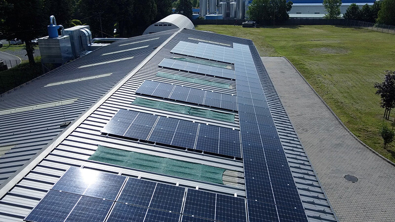 Nepelem referencia 3